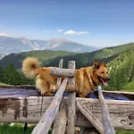 아파트 Schoenwetter *