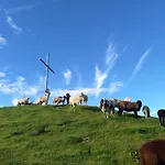 Schoenwetter 아파트