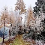 Schoenwetter * Grosssolk