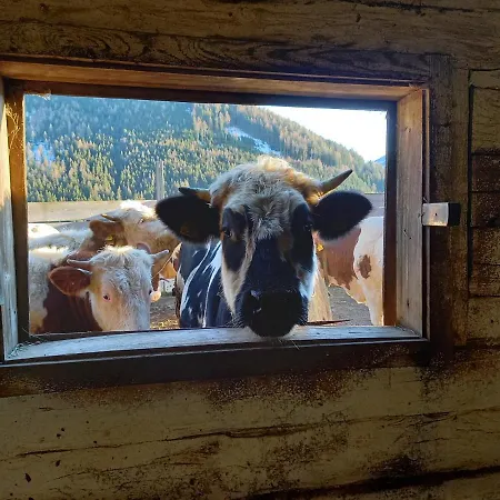 Appartement Schoenwetter