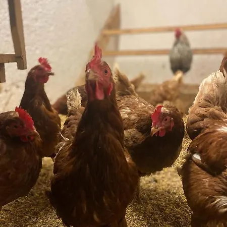 Appartamento Schoenwetter