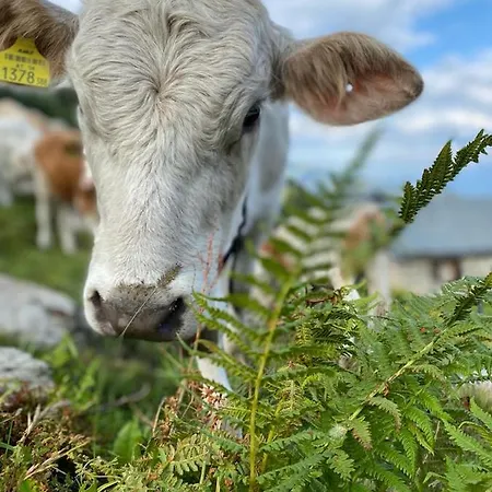 Appartamento Schoenwetter *