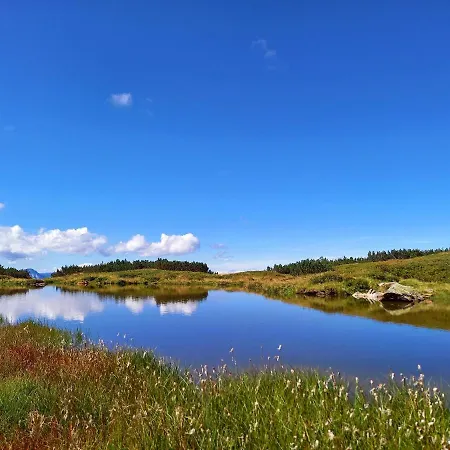 Schoenwetter * Grosssolk