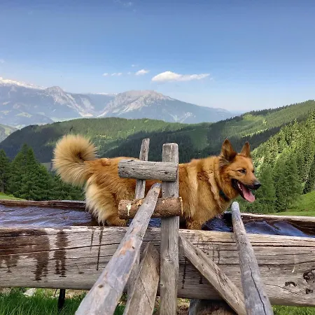 Appartamento Schoenwetter *