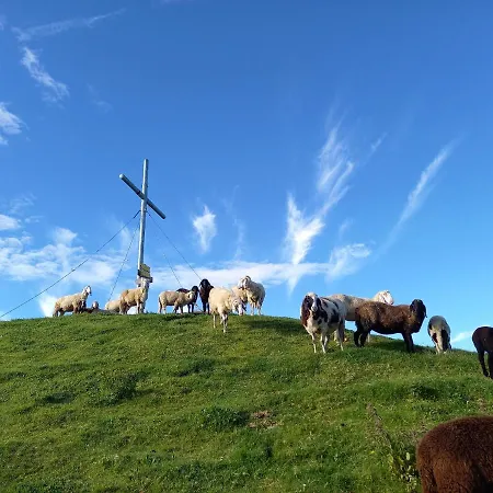 Schoenwetter Appartamento