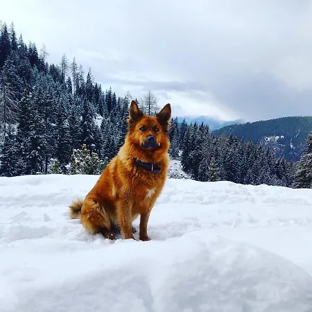Schoenwetter Apartamento Grosssolk