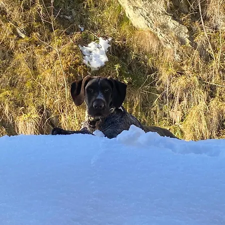 Schoenwetter Appartamento