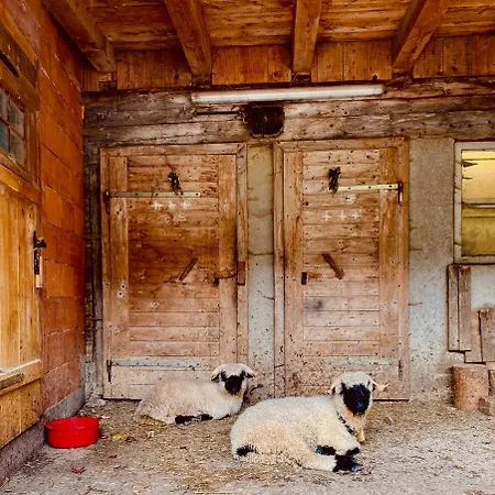 公寓 Schoenwetter Grosssolk