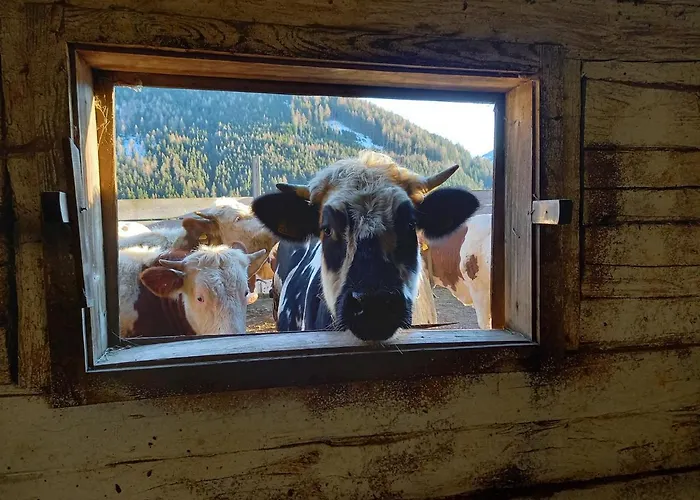 Apartment Schoenwetter