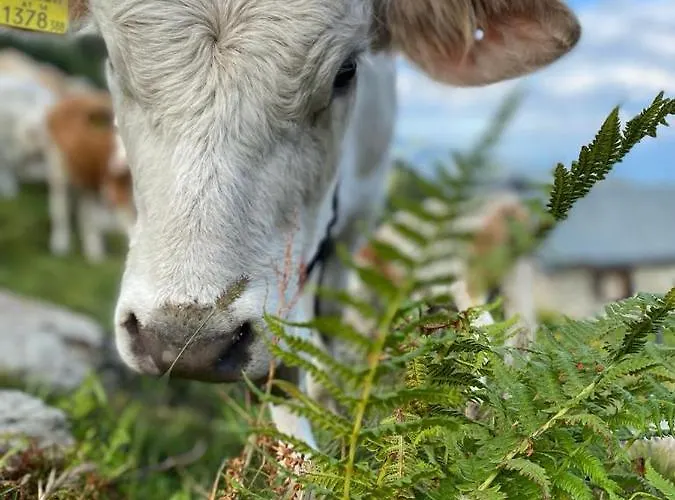 Apartment Schoenwetter *