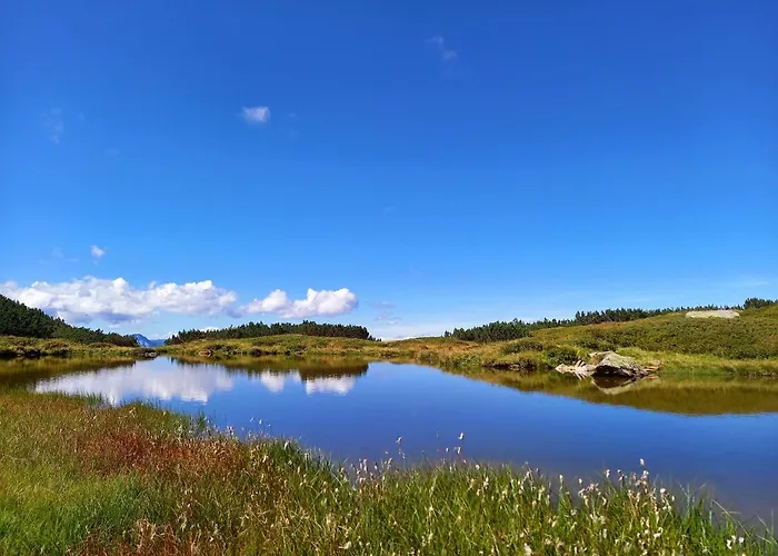 Schoenwetter * Grosssolk