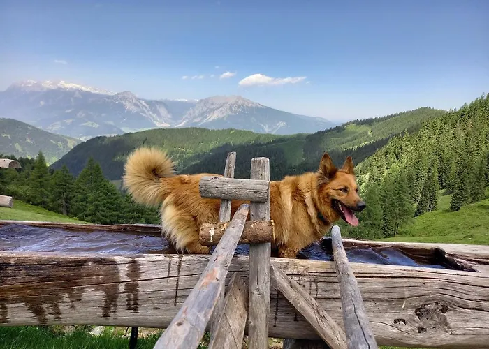 公寓 Schoenwetter *