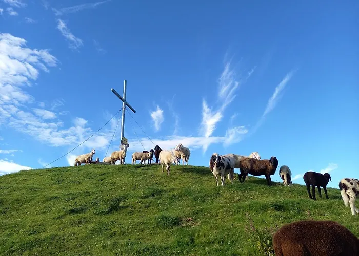 Schoenwetter Apartment