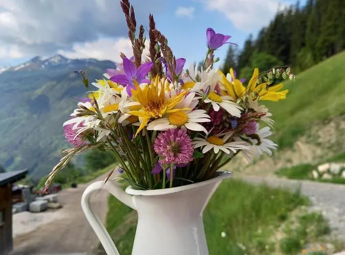 公寓 Schoenwetter Grosssolk