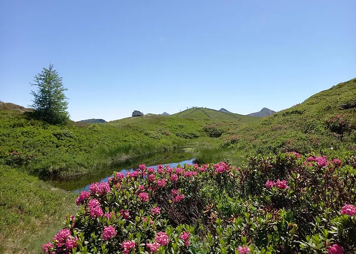 Apartment Schoenwetter