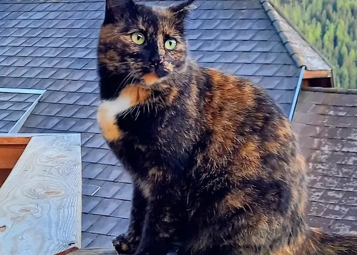 Schoenwetter 公寓 Grosssolk