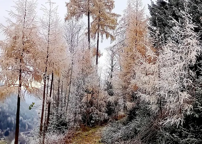 Schoenwetter * Grosssolk