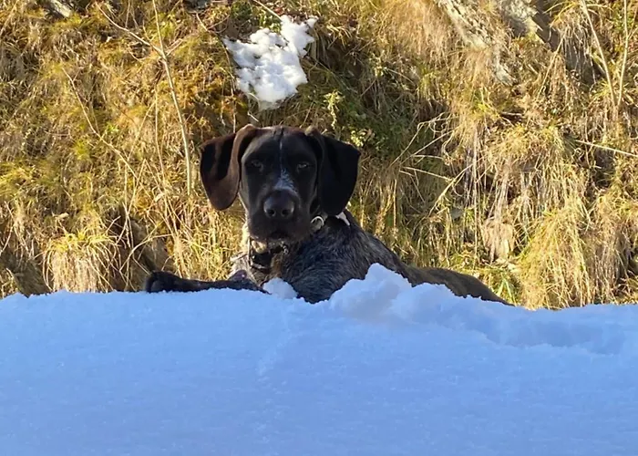 Schoenwetter Apartment