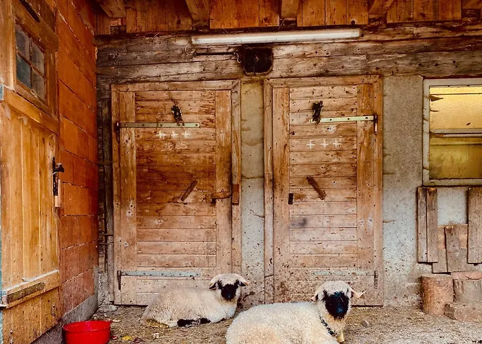 公寓 Schoenwetter Grosssolk